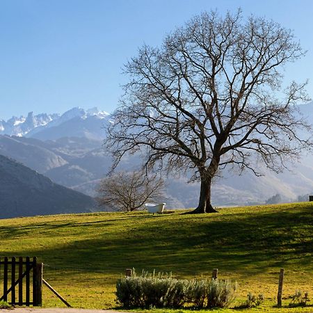 La Montana Magica Hotel Rural Vibano Екстериор снимка